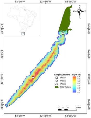 Table 1. Chl-a concentrations, Secchi disk depth, total suspended solids (TSS), dissolved oxygen (DO), pH and Depth measured in  2001-2009 (N=43) at three points (North, Central, South) in Lake Mangueira.