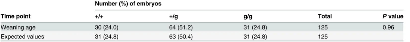 Table 1. Genotypes of offspring from timed matings of Hdgfrp2 heterozygous (+/g) animals.