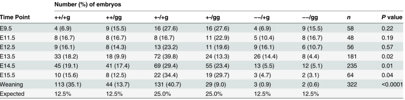 Table 3. Genotypes of offspring from timed matings of Psip1/Hdgfrp2 +-/+g and +-/gg animals.