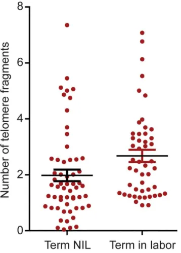 Fig 1. Quantitation of telomere fragments in human amniotic fluid. Scatter plot representing the number of telomere fragments detected in amniotic fluid from normal term not in labor (NIL) and term in labor samples