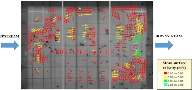 Figure 10. Mean surface velocities obtained experimentally for Test 4.