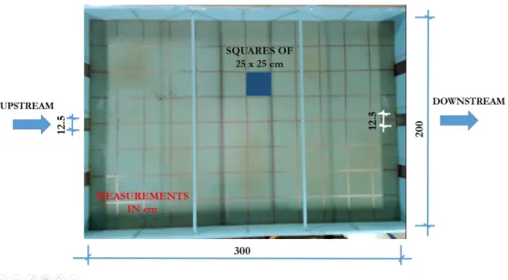 Figure 3. Detail of  the checkered bottom of  the reservoir (25.0 cm side).