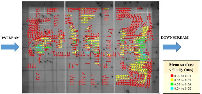 Figure 4. Mean surface velocities obtained experimentally for Test 1.