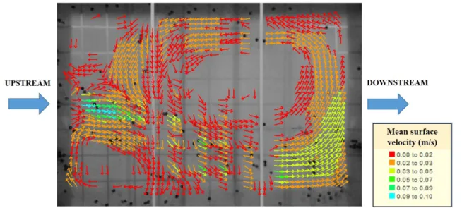Figure 5. Mean surface velocities obtained experimentally for Test 2.
