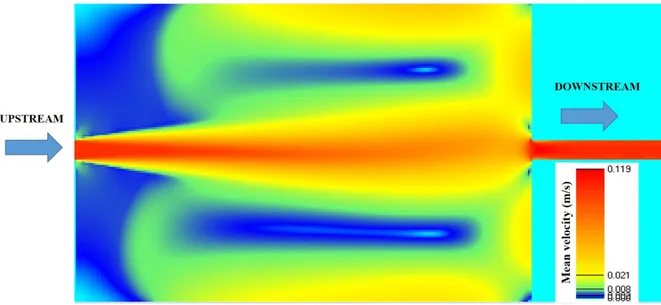 Figure 8. Mean velocities (m/s) obtained numerically for Test 2.