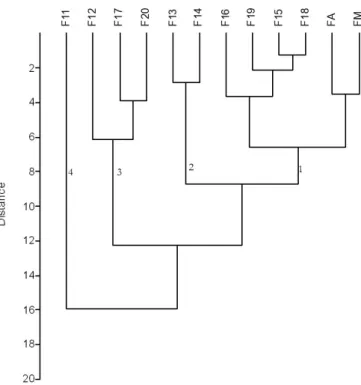 Figure 4. Dendrogram presenting the sampling stations clusters  during dry period.
