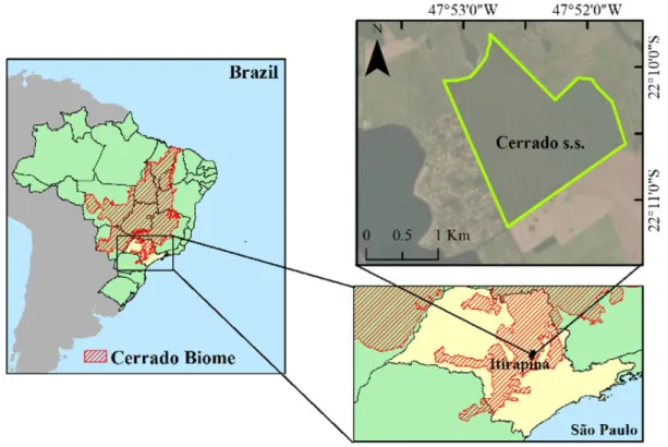 Figure 1. Location of  the study area of  the Cerrado sensu stricto in the municipality of  Itirapina, São Paulo state.