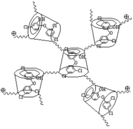 Figure 11. Schematic illustration of host–guest inclusion complexes of triclosan and β-cyclodextrin  (according to [78])