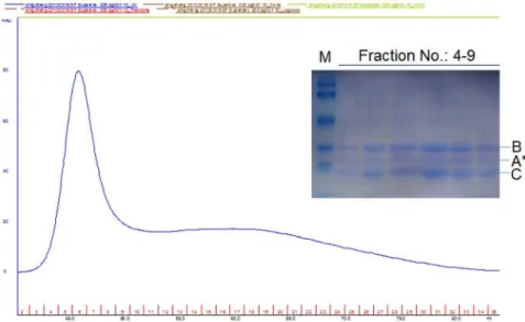 Figure S1 Cloning, expression and purification of wild- wild-type cdtA, cdtB and cdtC