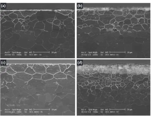 Fig. 5 shows a region of approximately  25μm from the surface with a high 
