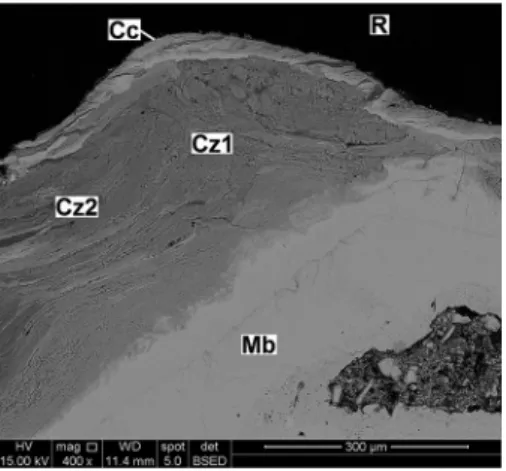 Figure 2 Detail 1 of Figure 1,  emphasizing the upper region of the tubercle.