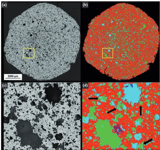 Figure 2a shows the image obtained  by SEM. Figure 2b shows the segmented  image with the phases identified using the  same color code as RLM