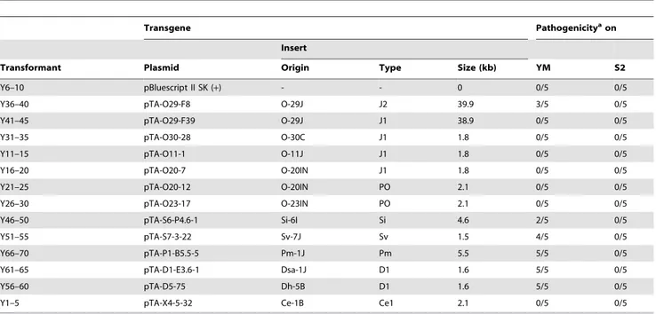 Table 1. Transformants of rice isolate P-2b (O-8J) with AVR-Pita homologs and their pathogenicity on rice cvs