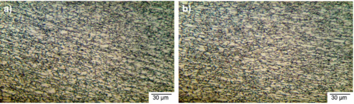 Figure 5. DP-290 steel micrograph of the: (a) transversal area; and (b) longitudinal area.