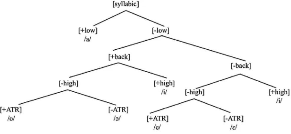 Figure 5 – Contrastive Hierarchy of PB vowels proposed by Lee (2008)