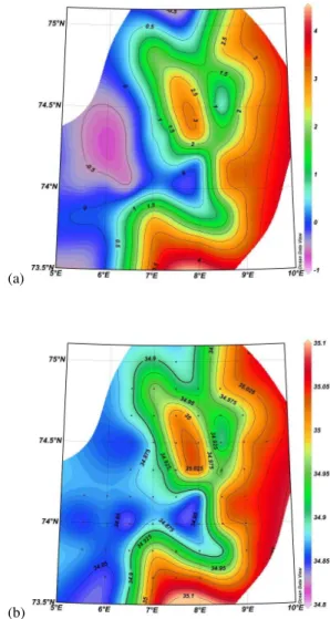 Fig. 10. Summer 1996. (a) Temperature and (b) salinity at 200 dbar.