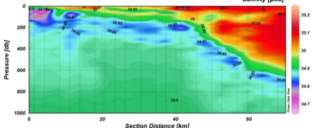 Fig. 11. Low-salinity intrusion of the Arctic waters towards the Atlantic domain.