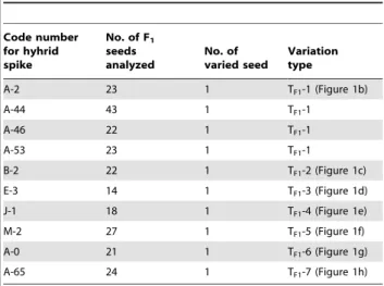 Table 2. HMW-GS variations in selfed F 2 wheat-rye hybrid seeds.