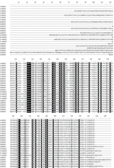 Fig 1. Multiple sequence alignment of plant dehydroascorbate reductases (DHARs). Conserved residues in all plant DHARs are marked in black