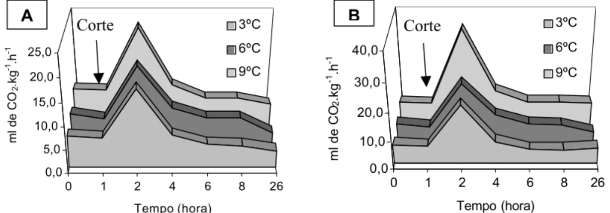 FIGURA 1 – Evolução de gás carbônico (ml CO 2 .kg -1 .h -1 ) de “metades” (A) e “rodelas” (B) de abacaxi-‘Pérola’, armazenadas a 3ºC, 6ºC e 9ºC