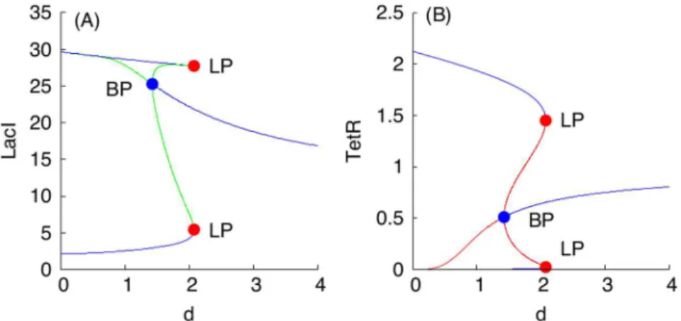 Fig 7. Symmetry breaking in a (1:1)-mixed population of S toggles. Panels (A) and (B) show the dependencies of LacI and TetR levels for the G-subpopulation of a (1:1)-population of S toggles, respectively.