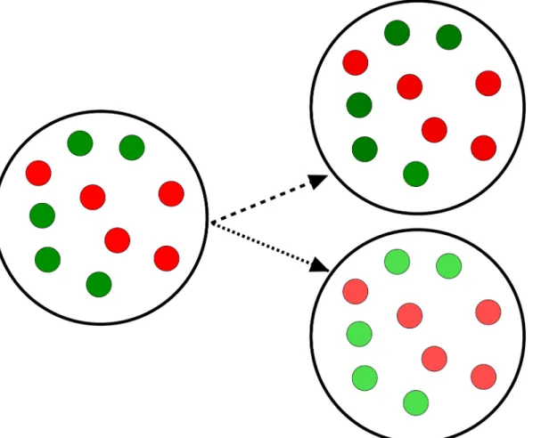 Fig 8. An interpretation of symmetry breaking in a (1:1)-mixed population of S toggles