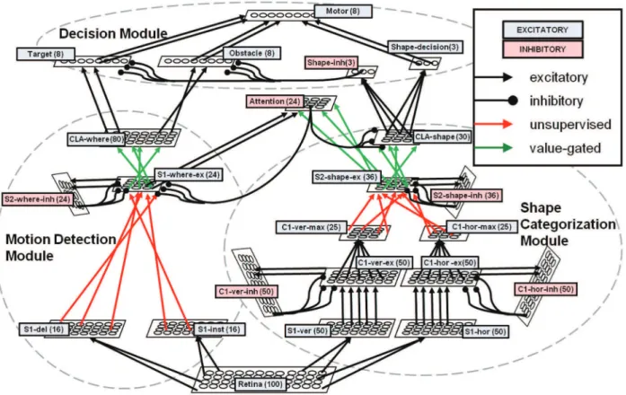 Figure 3. The architecture of the biologically inspired neural network. Each layer is depicted as a grid of cells (dimensions do not correspond to actual layer sizes) and all connections are showed