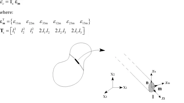 Figure 1: Global and local coordinate systems. 
