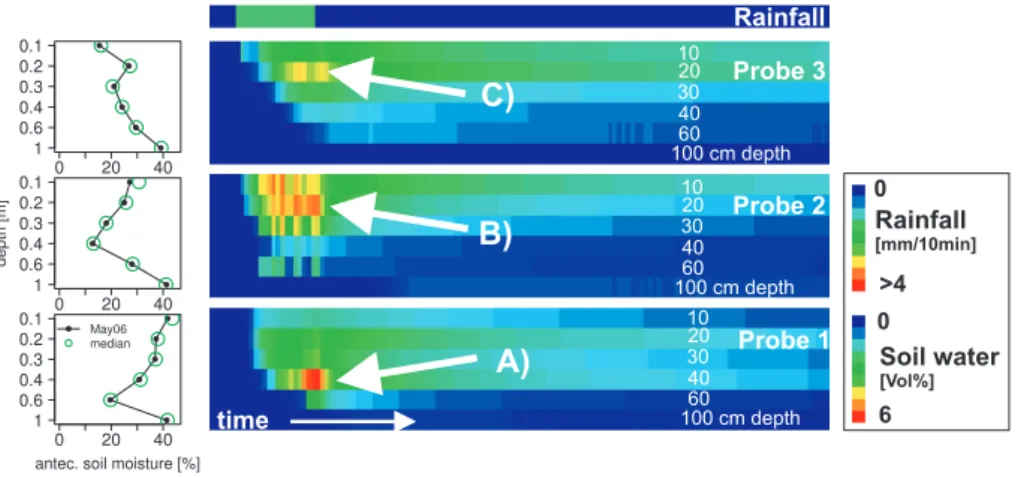 Fig. 8. Rainfall simulation with dye tracer at the locations of the soil moisture probes: amount of dye applied: 25 mm, intensity of application: