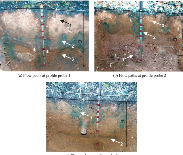 Fig. 9. Flow path visualization at the locations of the three continuously logging profile probes