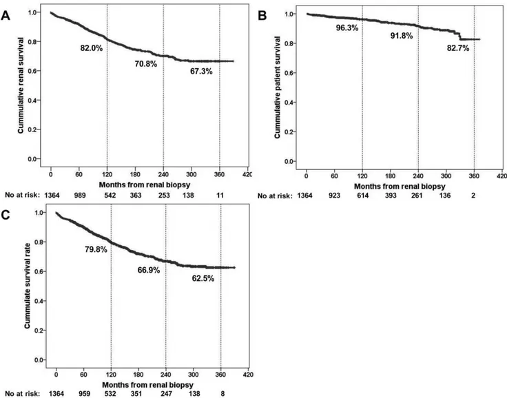 Figure 1. Cumulative renal and patient survival after renal biopsy. The primary endpoint was renal (A) and patient survival (B) and composite outcome (C)