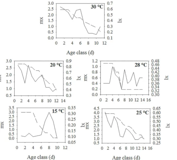 Fig 3. Relationship between age class (d) and age-specific daily fecundity (mx) and age-specific survival (lx) for apterous morphs of H