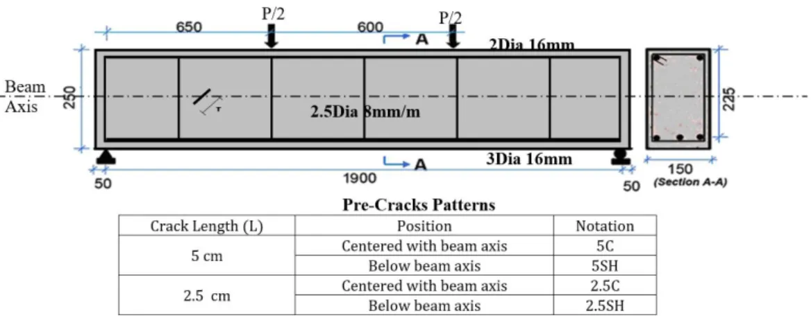 Figure 1: Dimensions, Positions and patterns of Pre-Cracks, and reinforcement detailing 