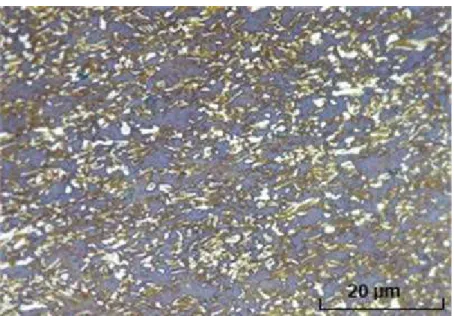 Fig. 1. The microstructural view of the TRIP 800 advanced high strength steels 