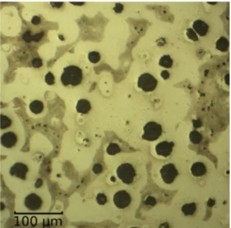 Figure 2: Initial microstructure of the part. Graphite nodules in black, pearlite in brown, and ferrite in white