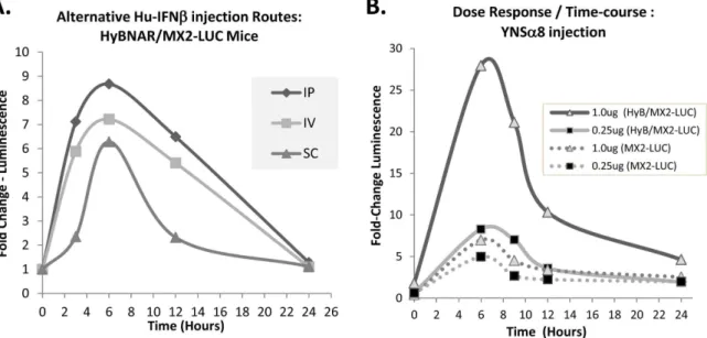 Figure 9. Time and injection regiment affects response to IFN-Is. (A). Response of different injection regiments to 0.2 ug (weight adjusted per 20 g mouse weight) of human IFNb