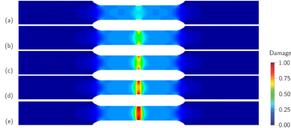 Figure 2: Damage evolution in the specimen under monotonic displacement. 
