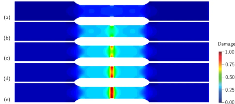 Figure 5: Damage evolution in the specimen under sinusoidal displacement. 
