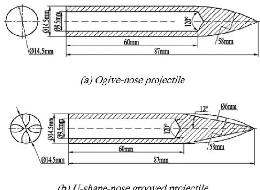 Figure 7: Schemes of projectiles 