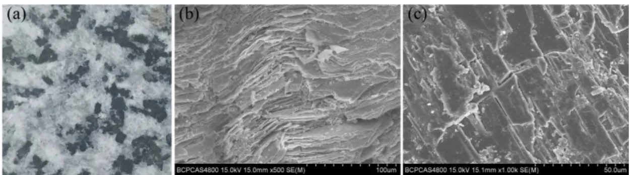 Figure 2: Specimens and SEM images.  a  Photograph of rock sample;  b  SEM on 100 μm;  c  SEM on 50 μm