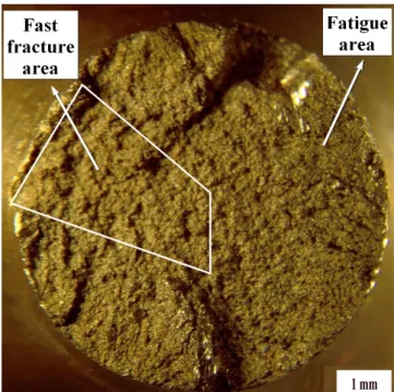 Figure 15: Fractured section of treated specimen under 75 µm rolling depth and subjected to 288 MPa