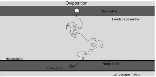 Figure 2. Density plots of individuals dispersing in the simulated landscape (effective distance was kept constant)