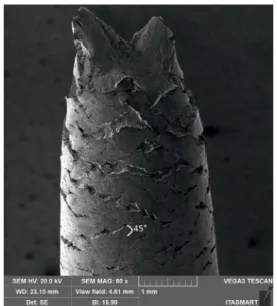 Figure 11 is a side view SEM image of MAR-SAP  sample after rupture showing the formation of circumferential  (transverse) microcracks on the nitrided surface perpendicular  and cross-linked at 45º angle relative to the tensile loading  direction.