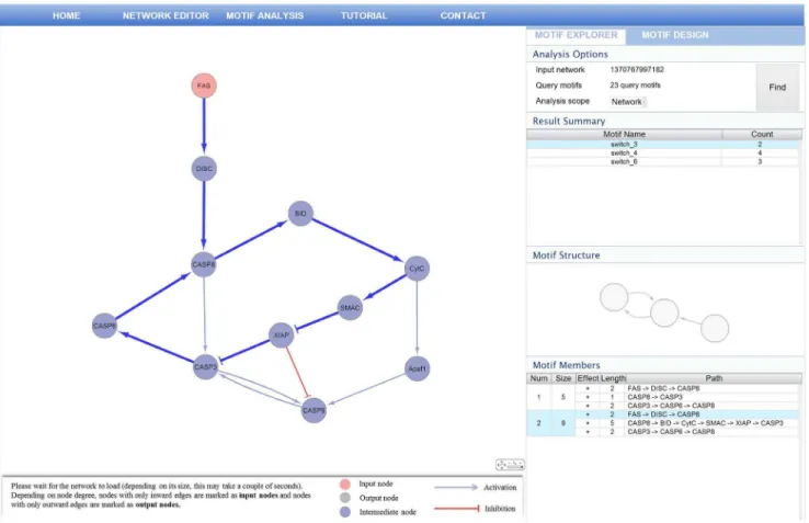 Figure 9. The motif explorer interface. The motif explorer allows users to analyze the input network and show the result of regulatory motif analysis.