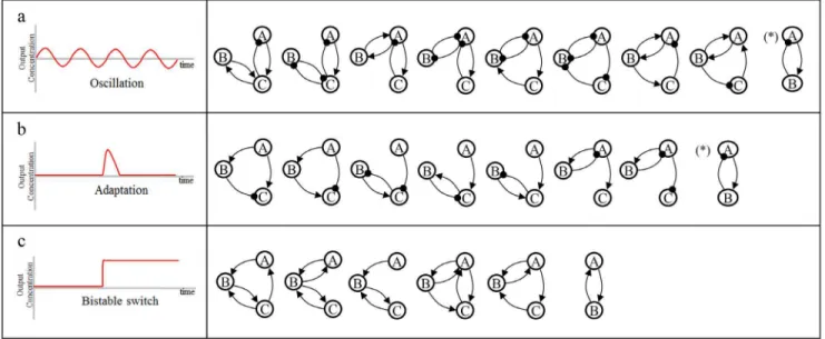 Figure 1. Known regulatory motifs in non-isomorphic relationship. (a) Oscillation motif (b) Adaptation motif (c) Bistable switch motif
