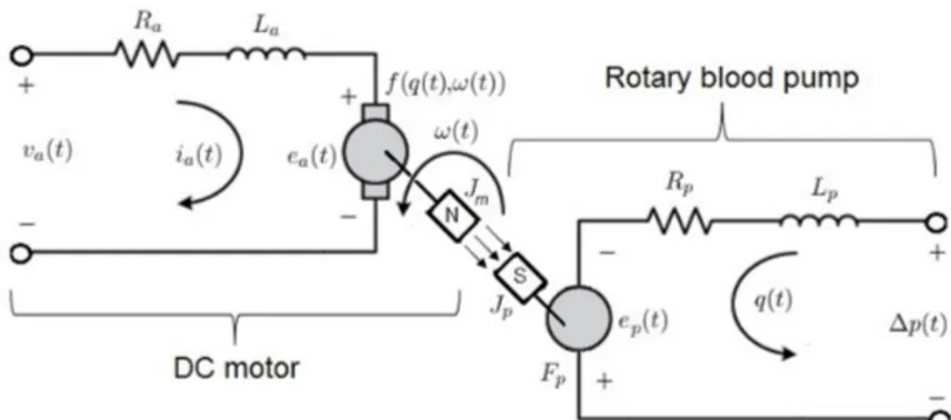 Figure 3. Lumped parameter representation of the pRBP.