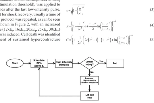 Figure 2. Flowchart representing experimental protocol adopted during experiments with cells.