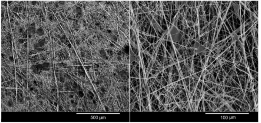 Figure 3. Scanning electron microscopy images of defects from solution blow spun samples.