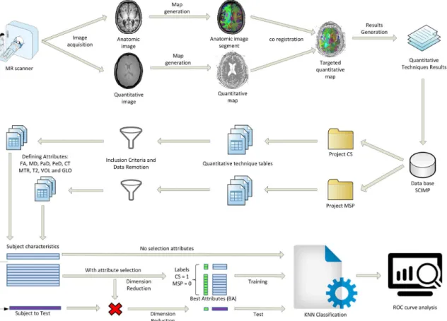 Figure 1. Flowchart of the procedure performed for the classification tasks from the MRI acquisitions to the efficiency assessment.