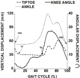Figure 2. Vertical displacement and angular displacement of the gait  cycle, from 0% (first heel stride) to 100% (second heel stride) for the  same foot